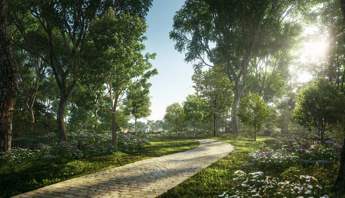 Rừng chạy ion âm