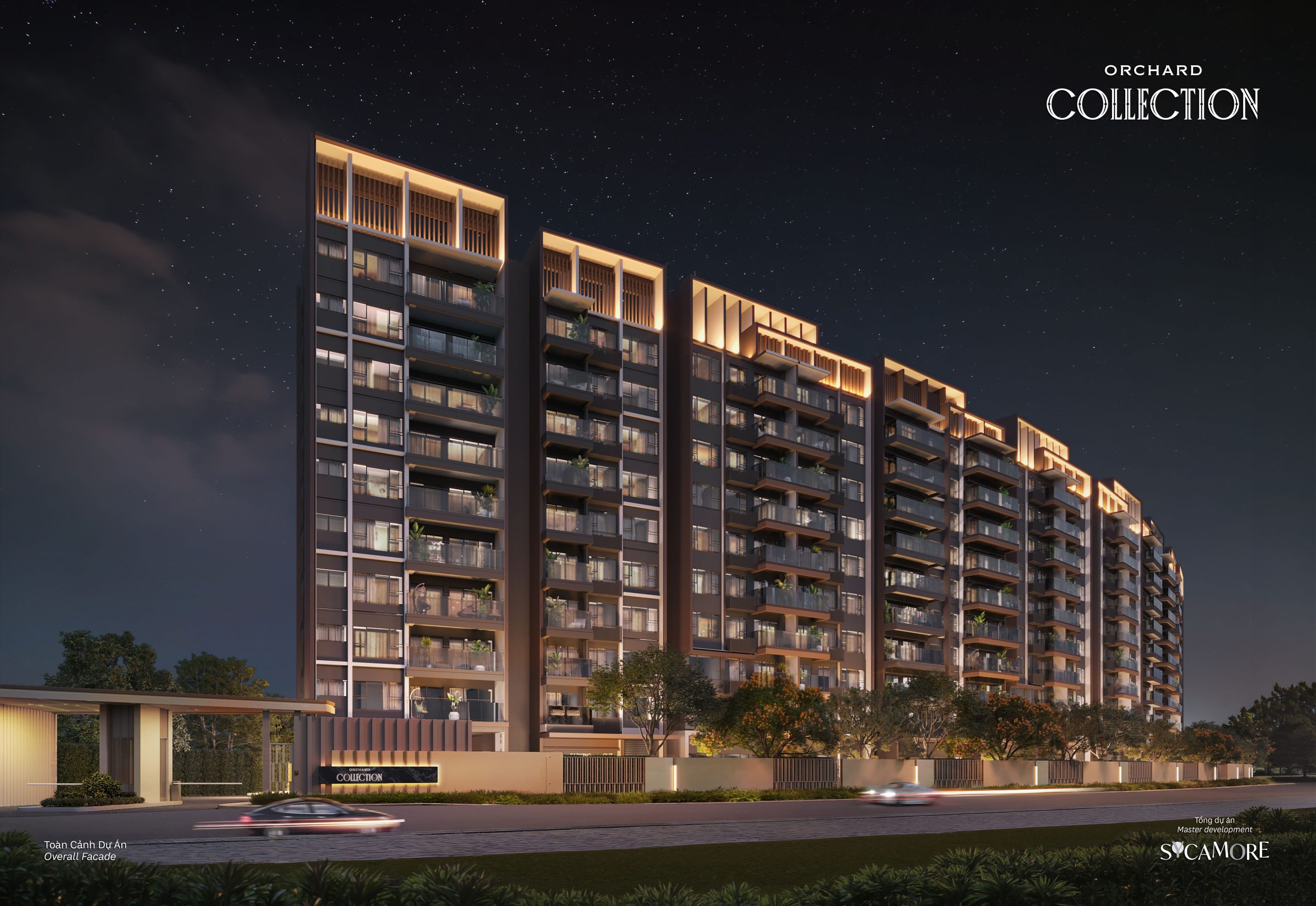 ORCHARD COLLECTION | Sycamore | Why Buy NOW ???